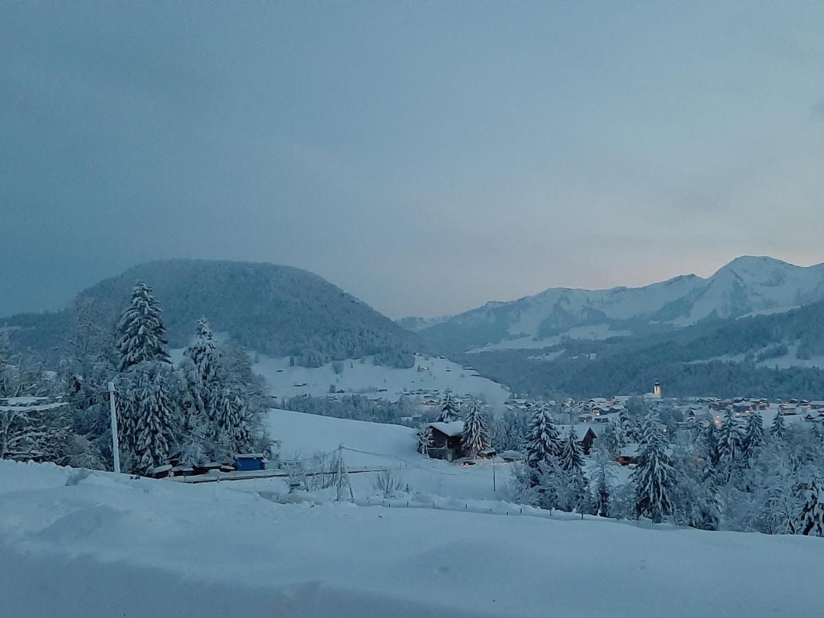 Ferienwohnung Schönenbühl Hittisau Exterior foto